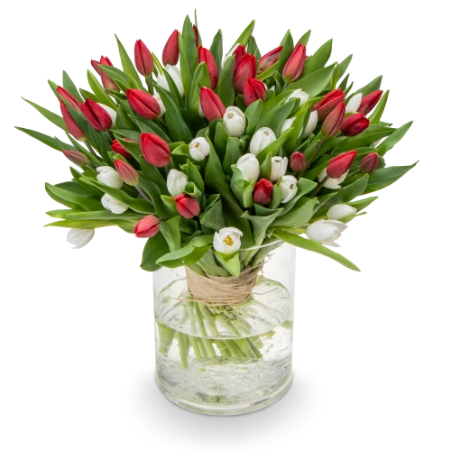 Kytice červených a bílých tulipánů